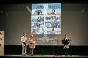 Festival de cine español de Nantes 2016